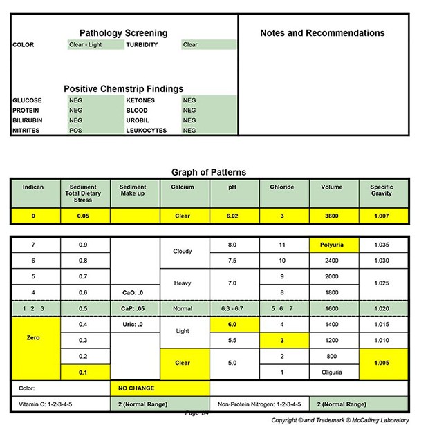 Integrated urinalysis report